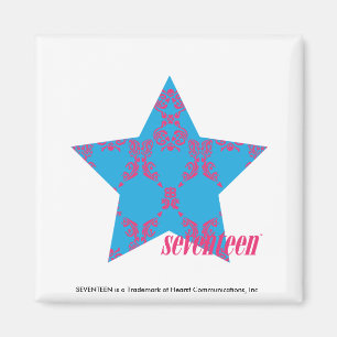 Damask Magenta-Aqua 2 Magnet