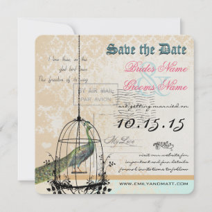 Damask Peacock Bird Cage Wedding Save the Date