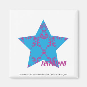 Damask Purple-Aqua 2 Magnet