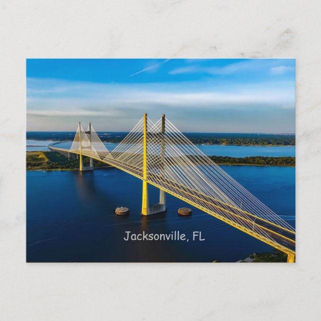 Dames Point Bridge, Jacksonville Postcard (Front)