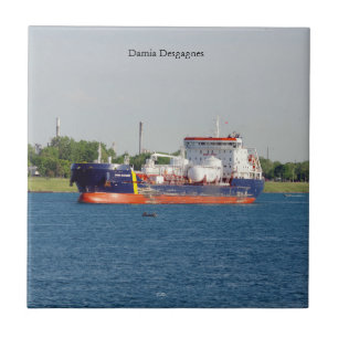 Damia Desgagnes tile