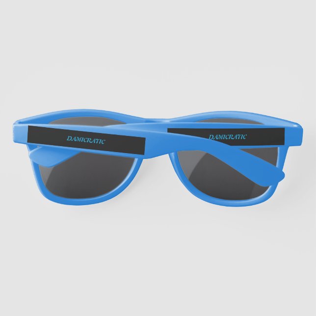 Damicratic  Sunglasses (Back)