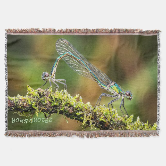 Damselflies Macro - Iridescent Love on Moss Throw Blanket (Front)