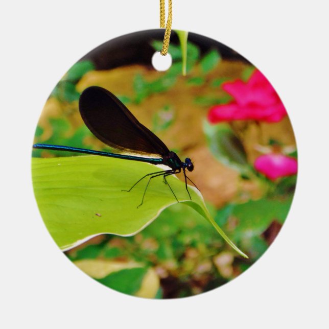 Damselfly and Rose Ceramic Tree Decoration (Front)