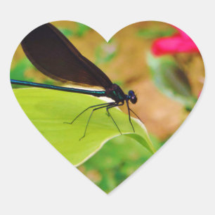 Damselfly and Rose Heart Sticker