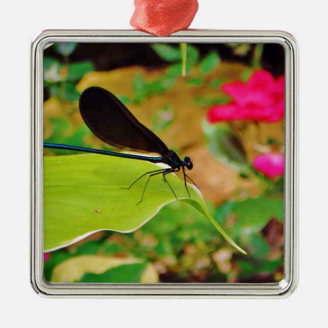 Damselfly and Rose Metal Tree Decoration (Front)