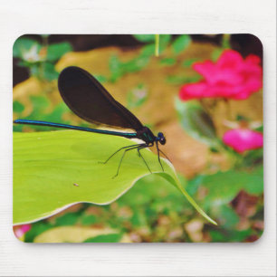 Damselfly and Rose Mouse Pad