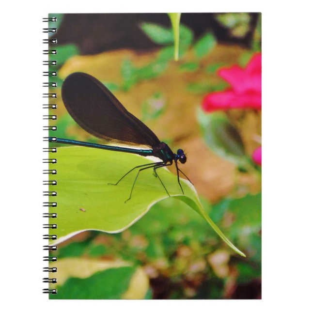 Damselfly and Rose Spiral Notebook (Front)