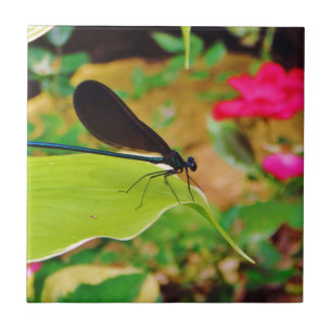 Damselfly and Rose Tile