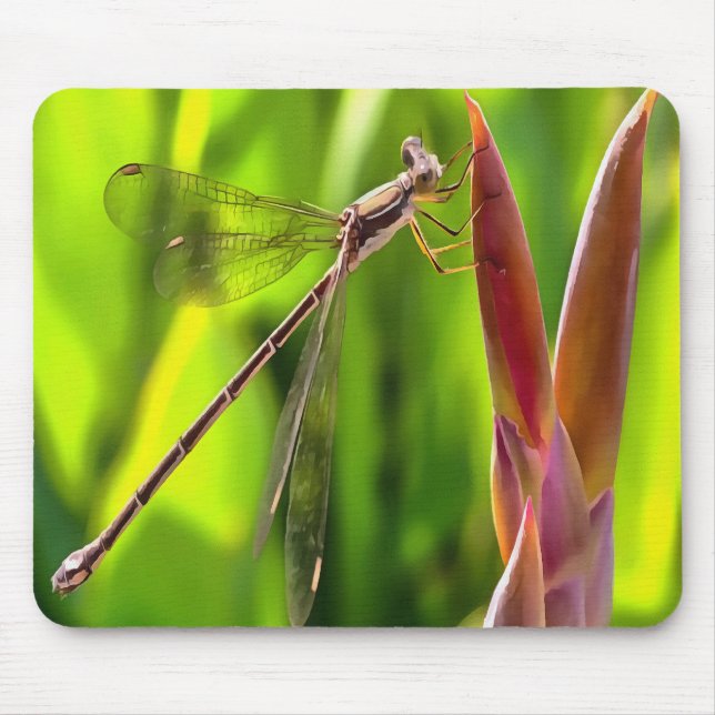 Damselfly Balanced On A Flower Head Mouse Pad (Front)