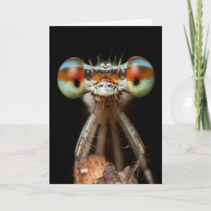 DAMSELFLY CUTE CLOSEUP CARD