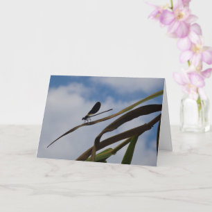 Damselfly in Blue Sky Card