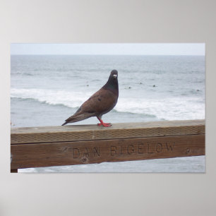 Dan Bigelow Poster