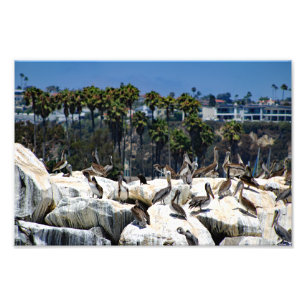 Dana Point Photo Print