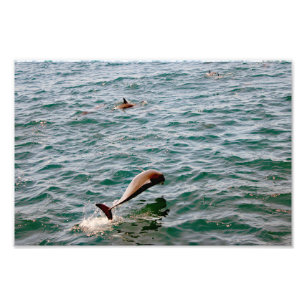 Dana Point Photo Print