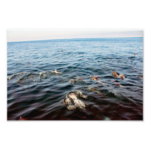 Dana Point Photo Print