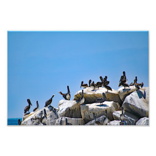 Dana Point Photo Print