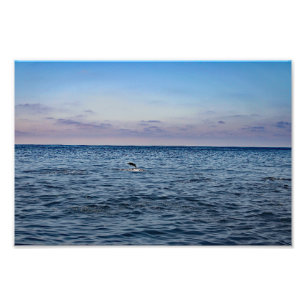 Dana Point Photo Print