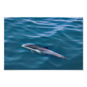 Dana Point Photo Print