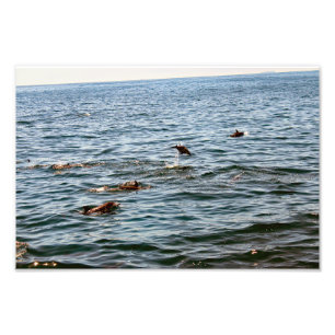 Dana Point Photo Print