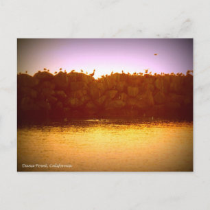 Dana Point Sunset Postcard