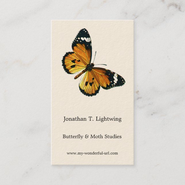 Danaus chrysippus - Plain Tiger, or African Queen  Business Card (Front)