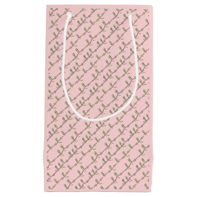 Dance Lessons Gift Bag (Pink) (Front)