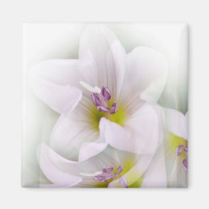 dance of flowers magnet
