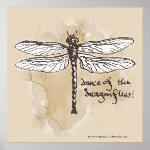 Dance of the Dragonflies Poster