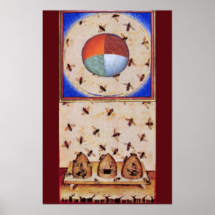 DANCE OF THE HONEY BEES WITH FOUR ELEMENTS POSTER