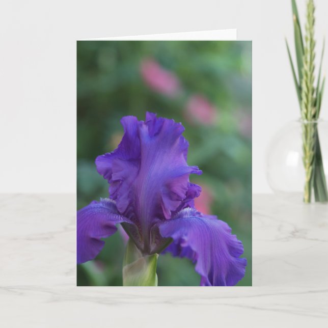 Dance of the Purple Iris Greeting Card (Front)