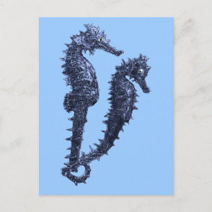 Dance Of The Seahorses (Blue) Postcard