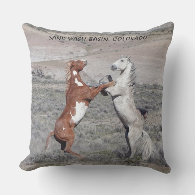 DANCE OF THE STALLIONS PATIO PILLOW (Front)