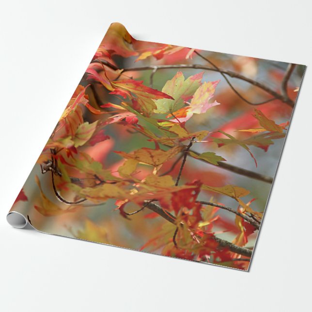 Dancing autumn leaves wrapping paper (Unrolled)