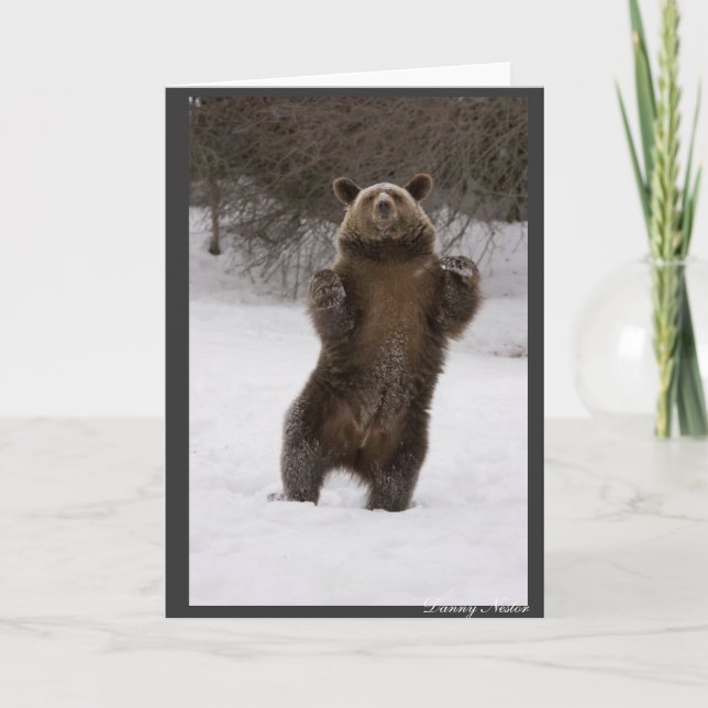 Dancing Bear Card (Front)