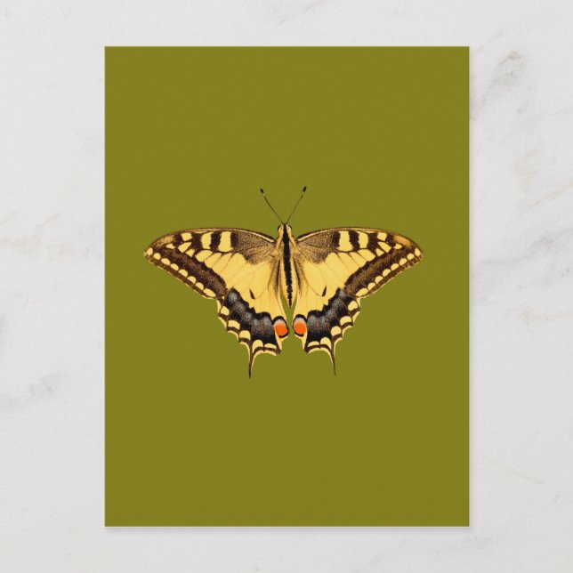 Dancing Butterfly Postcard (Front)