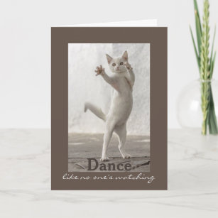 Funny Cat Birthday Cards Zazzle Co Nz