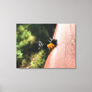 Dancing Caterpillar Canvas Print