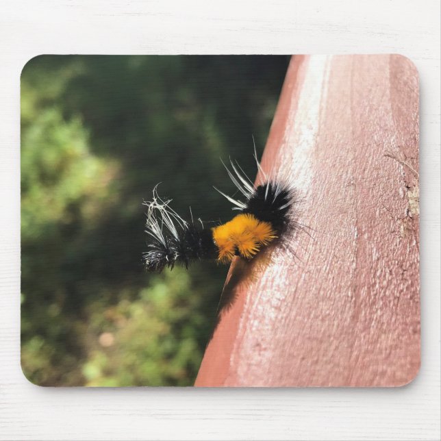 Dancing Caterpillar Mouse Pad (Front)