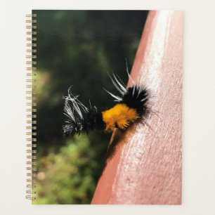 Dancing Caterpillar Planner