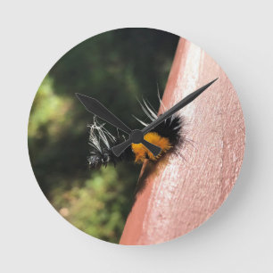 Dancing Caterpillar Round Clock