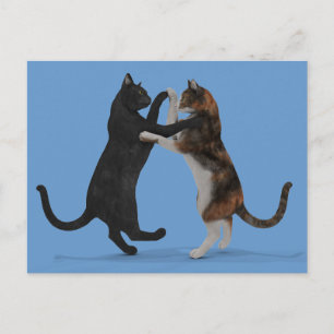 Dancing Cats Postcard