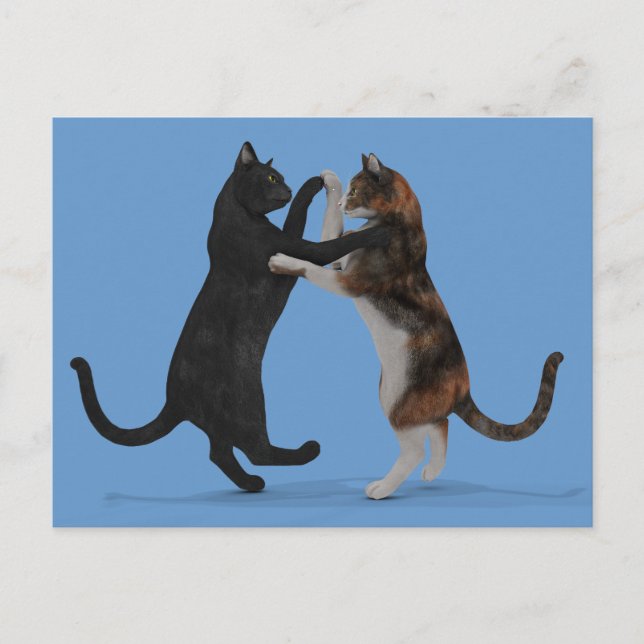 Dancing Cats Postcard (Front)