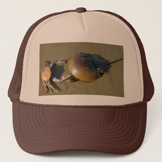 Dancing Crabs Hat (Front)