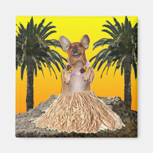 Dancing Dachshund Magnet