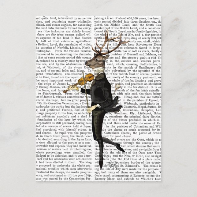 Dancing Deer with Violin Postcard (Front)