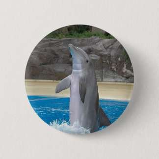 Dancing Dolphin Button