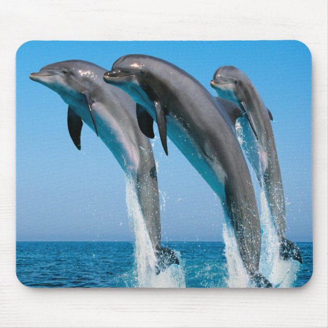 Dancing dolphins mouse pad (Front)