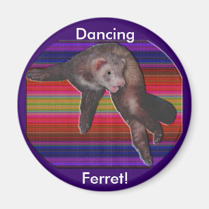 Dancing Ferret Magnet