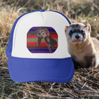 Dancing Ferret with Colourful Striped Background Trucker Hat
